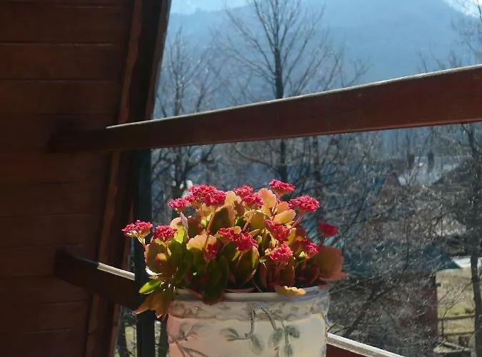 Pokoje Goscinne W Gorach